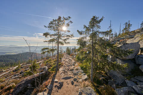 Gemeinde Neureichenau Landkreis Freyung-Grafenau Plöckenstein (Dirschl Johann) Deutschland FRG
